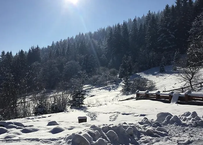 Sadyba Na Gutsulsky Polonyni Maison d'hôtes 3*
